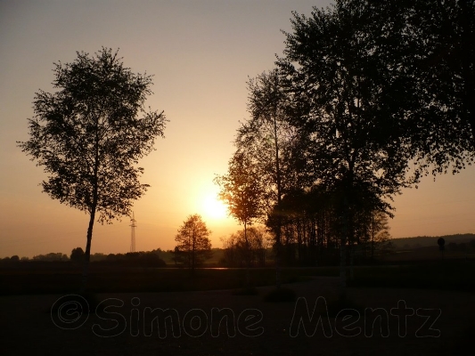 Images/Sonne_ (29).jpg